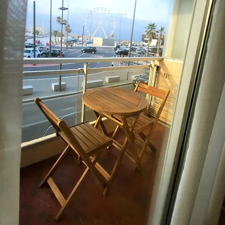 Adorable Petit Avec Magnifique Vue Sur Le Port De *